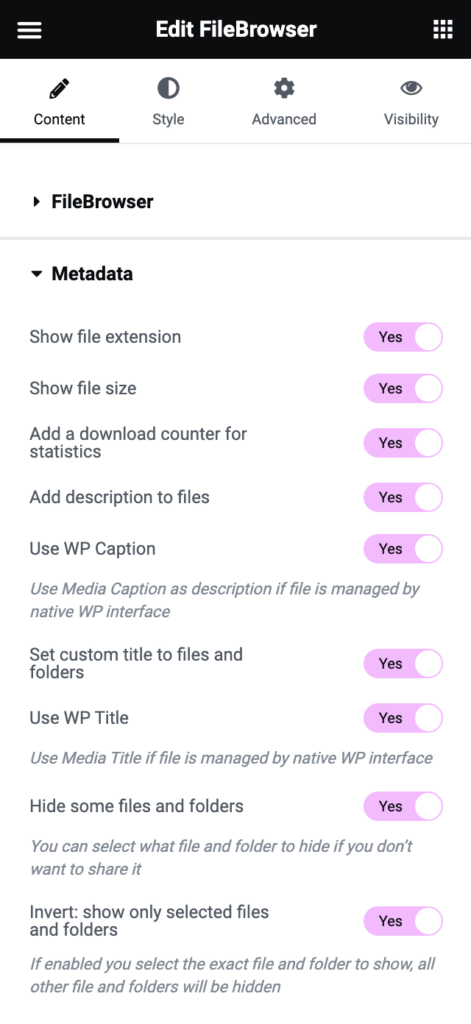 filebrowser-2-6