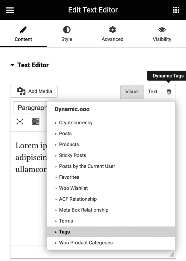 Text-Editor-tag-tags