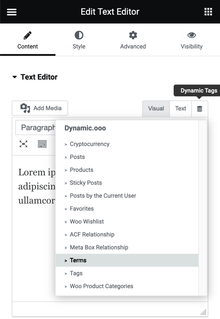 Text-Editor-tag-terms-1-2